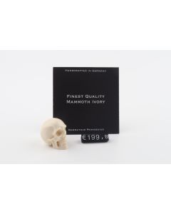 Hand carved mammoth ivory skull