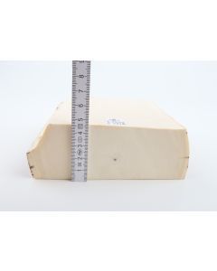 White mammoth ivory segment