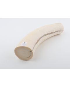 Round mammoth tusk piece