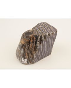 Stabilised mammoth molar piece