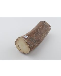 Round mammoth tusk piece