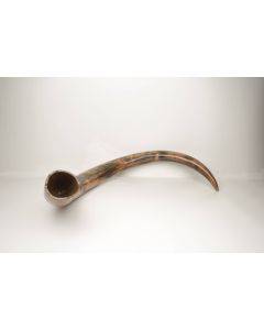 Restored woolly mammoth tusk