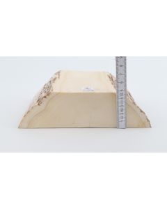 White mammoth ivory segment